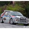 DSC_4556 Kopie